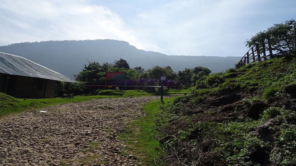 Anamudi Shola National Park