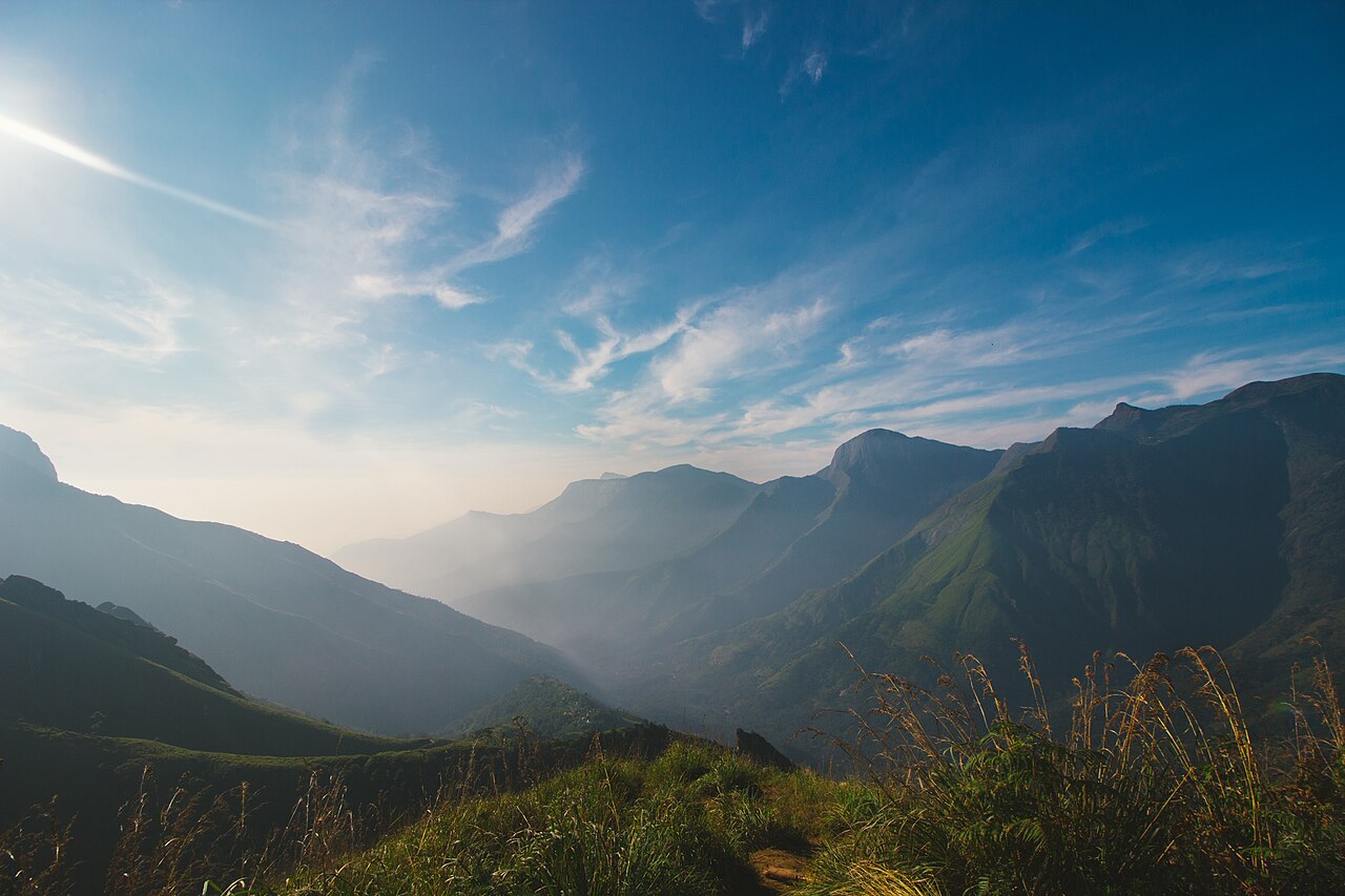 Pampadum Shola National Park